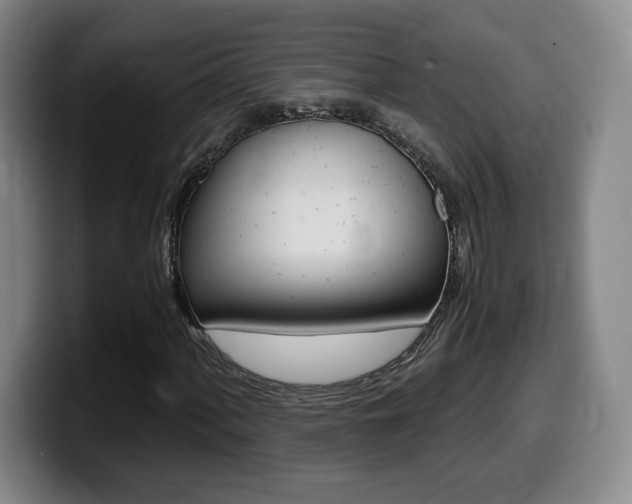 X0000099471060200805090809