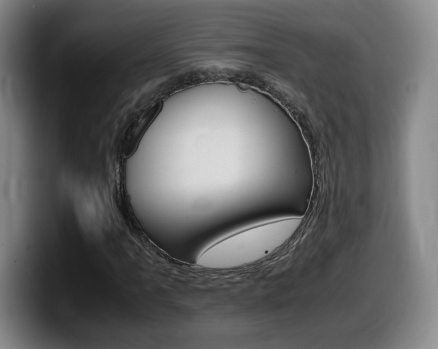 X0000099471061200805090809