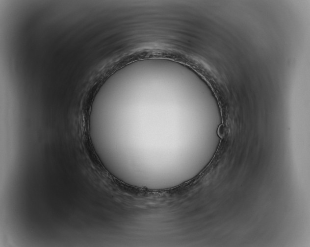 X0000099471062200805090809
