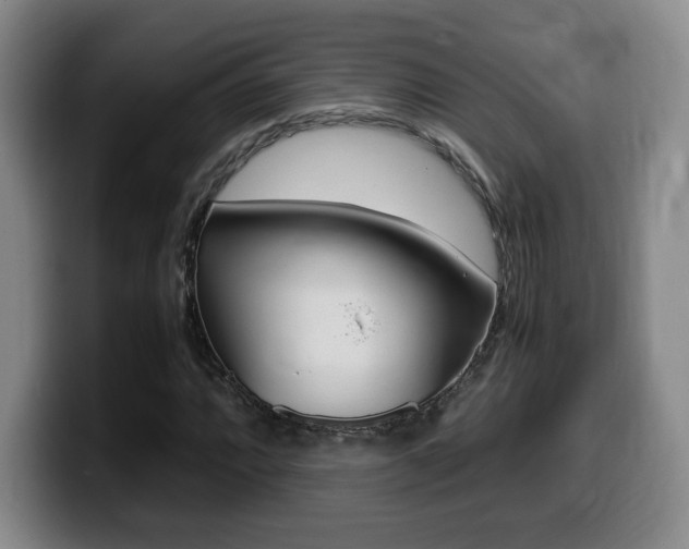 X0000099471064200805090809