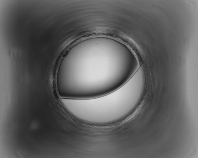 X0000099471065200805090809