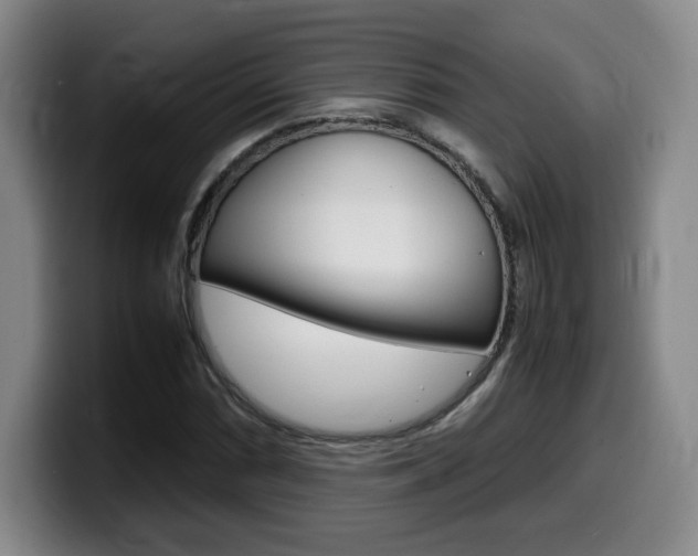 X0000099471066200805090809