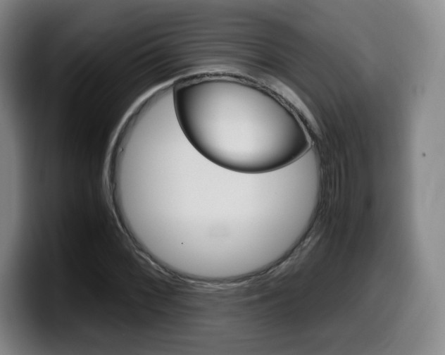 X0000099471068200805090809