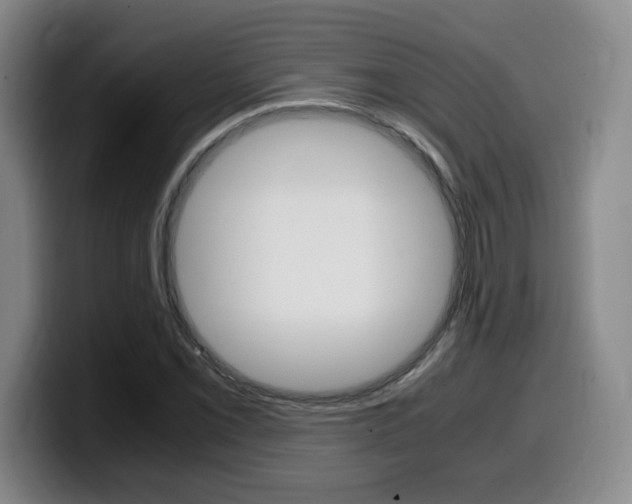 X0000099471069200805090809