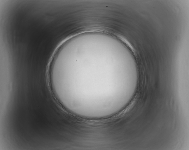 X0000099471071200805090809