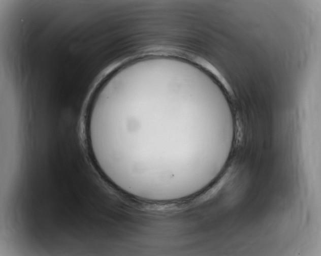 X0000099471074200805090809