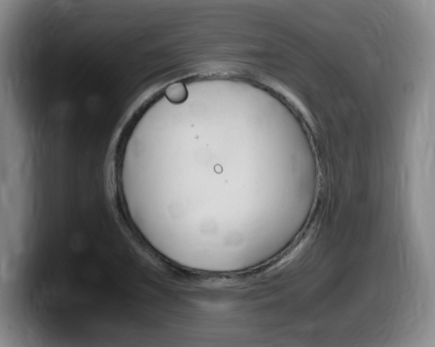 X0000099471075200805090809