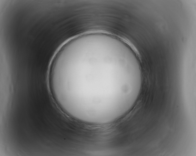 X0000099471076200805090809