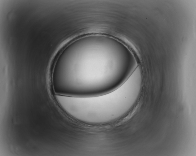 X0000099471077200805090809