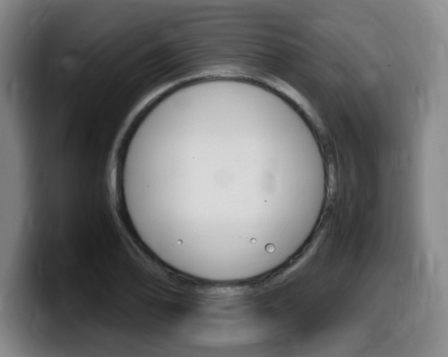 X0000099471078200805090809