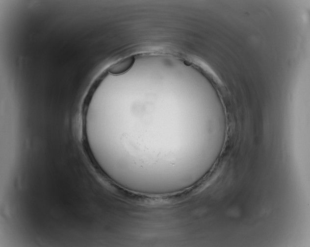 X0000099471079200805090809