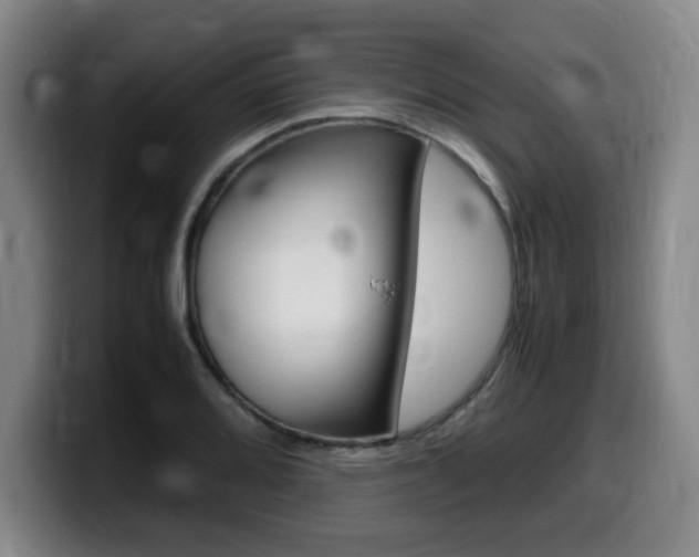 X0000099471080200805090809