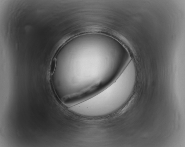 X0000099471081200805090809