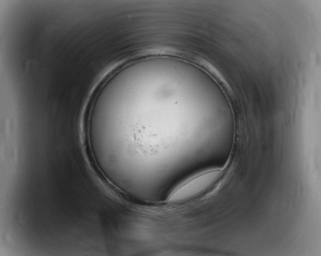 X0000099471082200805090809