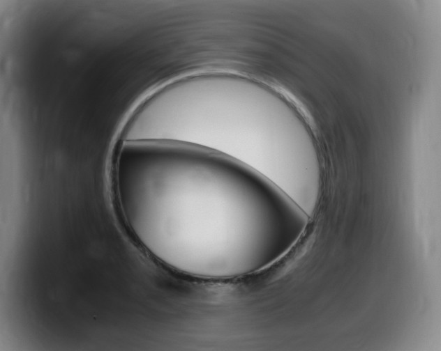 X0000099471085200805090808