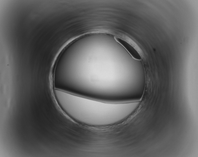 X0000099471092200805090808