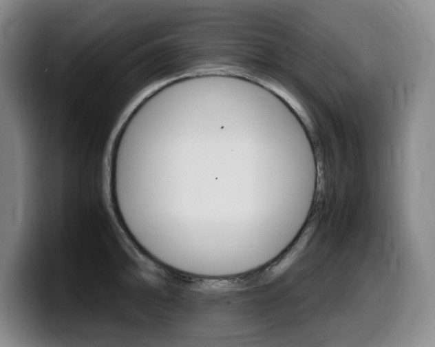 X0000099471094200805090808