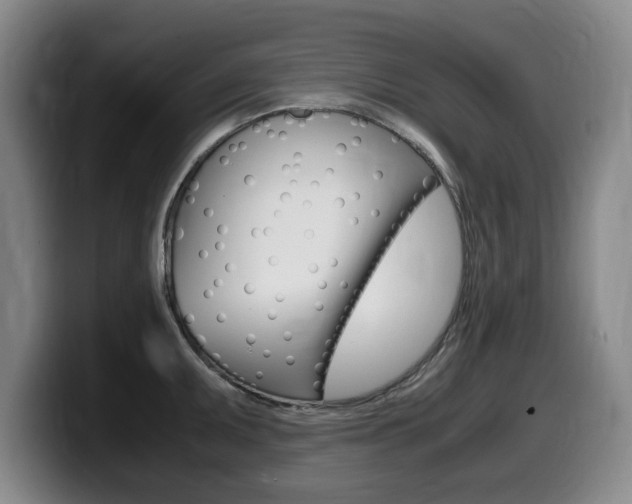 X0000099471095200805090808
