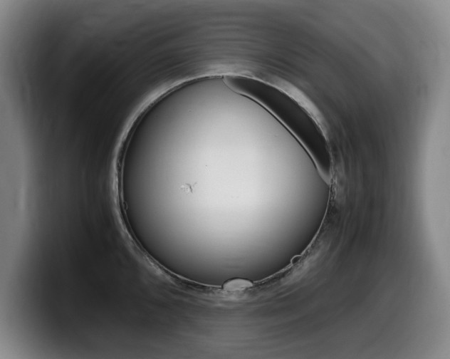 X0000099471096200805090808
