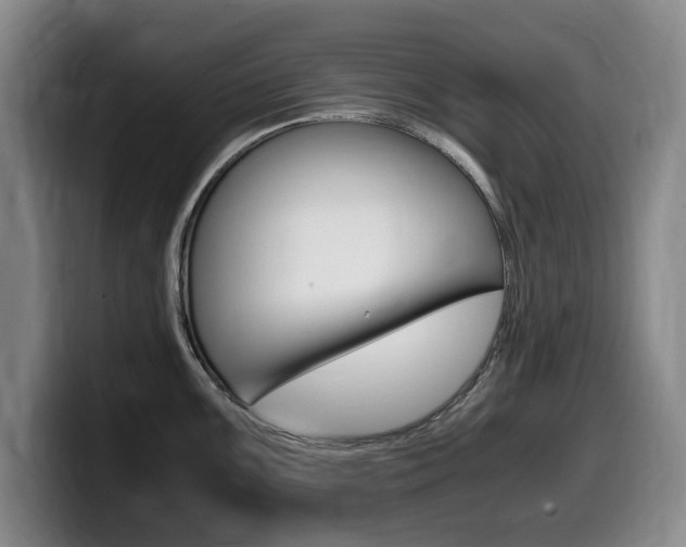 X0000099471099200805090808
