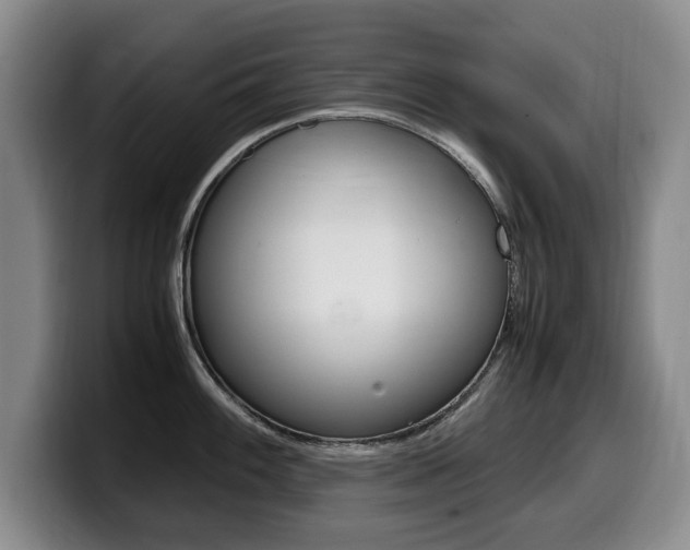 X0000099471100200805090808