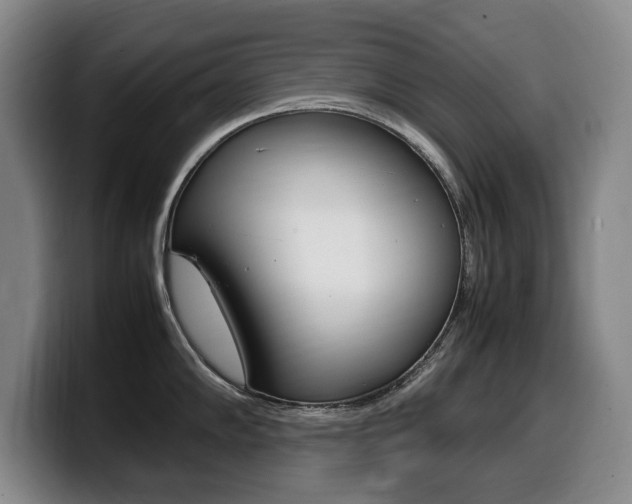 X0000099471102200805090808