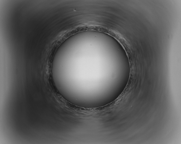 X0000099471110200805090808