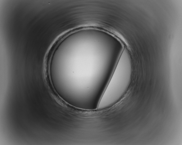 X0000099471116200805090808