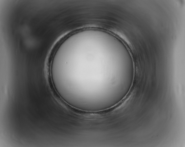 X0000099471119200805090808