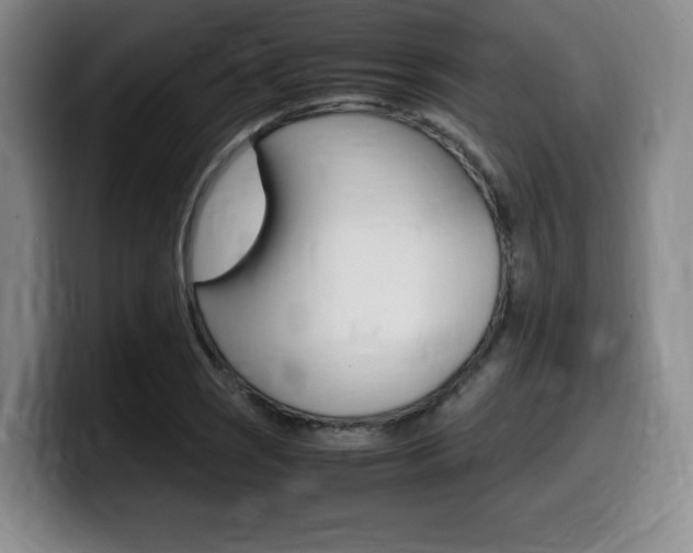 X0000099471121200805090808