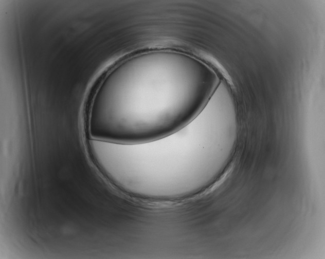 X0000099471122200805090808