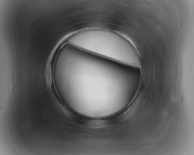 X0000099471123200805090808