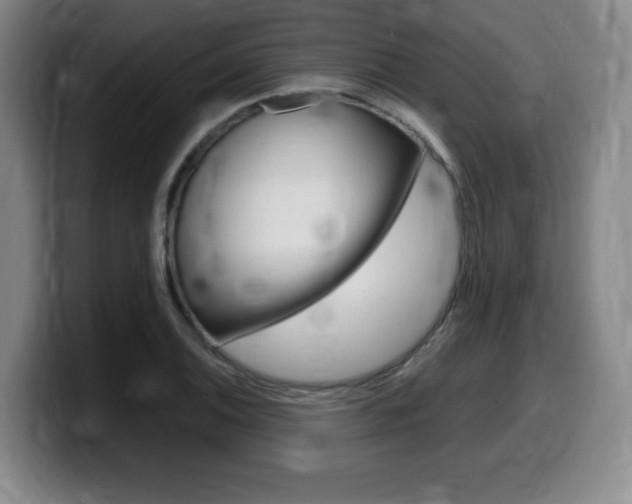X0000099471124200805090808