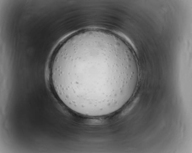 X0000099471125200805090808