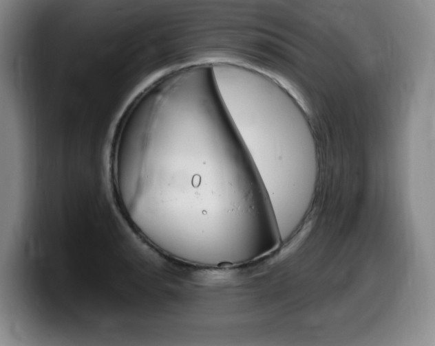 X0000099471134200805090808