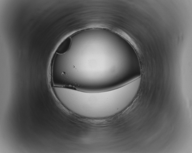 X0000099471140200805090808