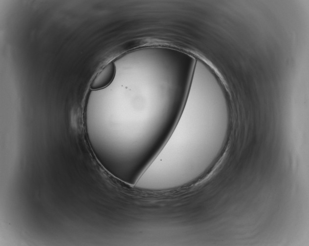 X0000099471145200805090808