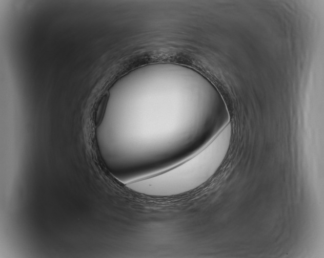X0000099471153200805090808