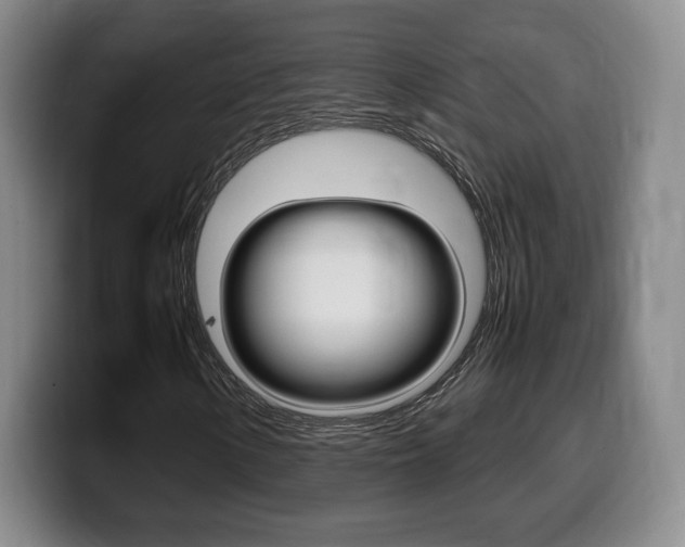 X0000099471154200805090808