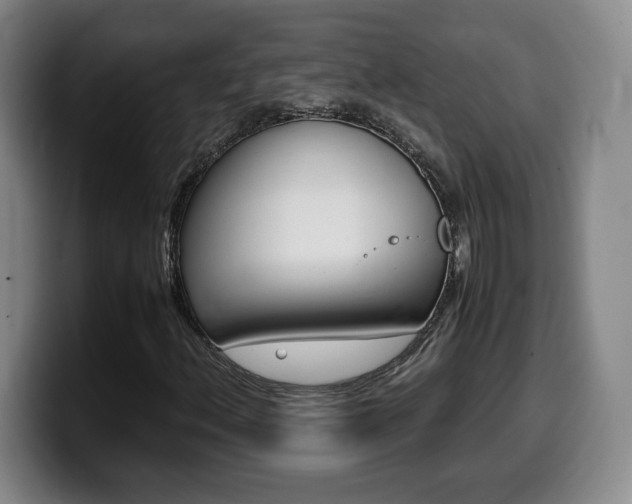 X0000099471156200805090808