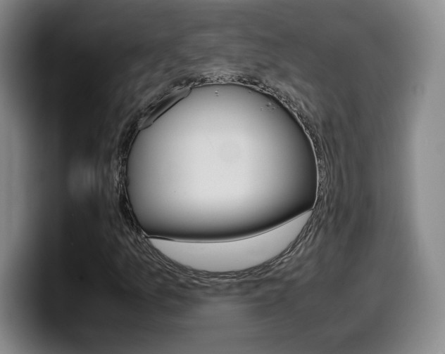 X0000099471157200805090808