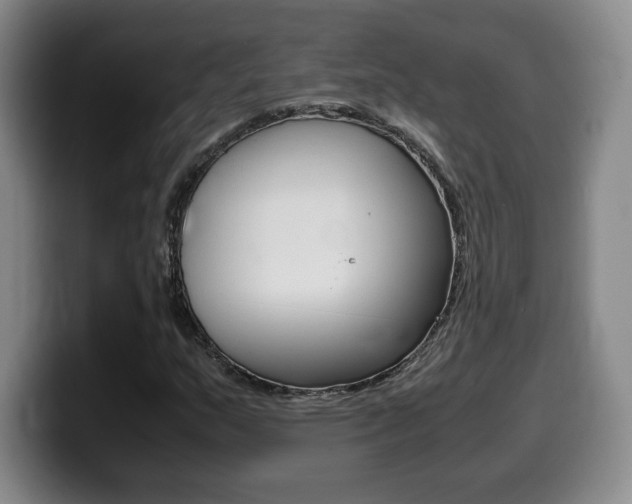 X0000099471159200805090808