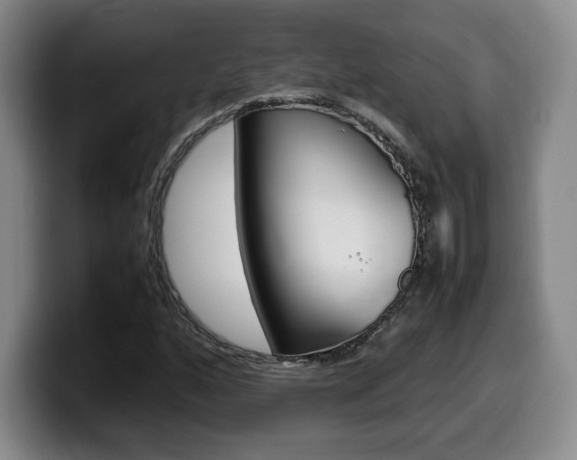 X0000099471160200805090807
