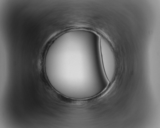 X0000099471163200805090807