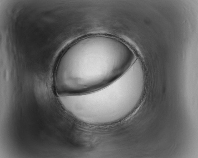X0000099471167200805090807