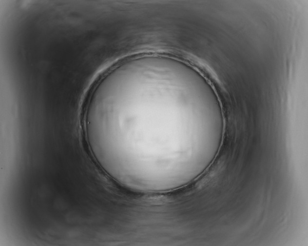 X0000099471168200805090807