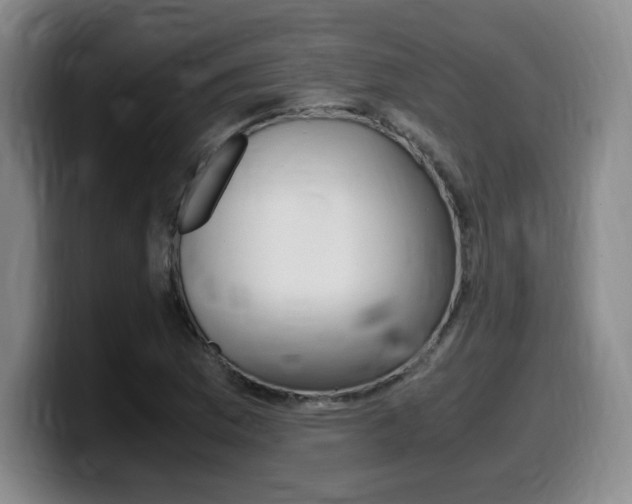 X0000099471169200805090807