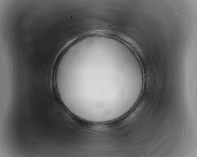 X0000099471170200805090807