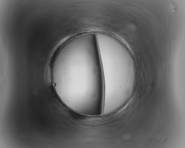 X0000099471171200805090807