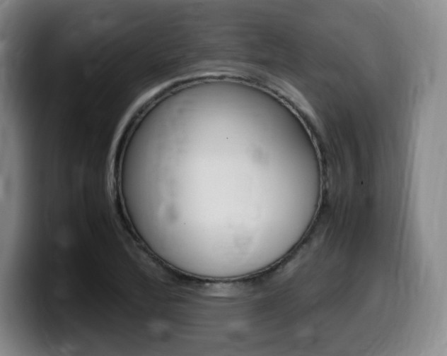 X0000099471172200805090807